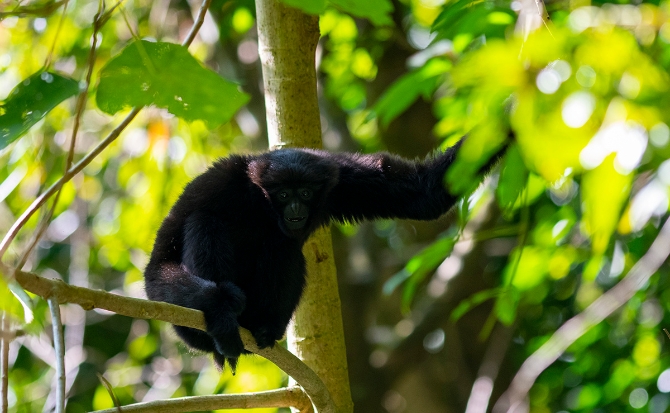 20210105161035FJW1FPn 20210105161035FJW1FPn