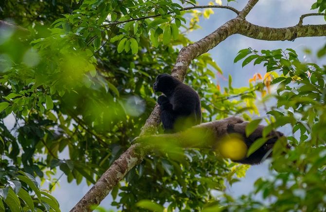 20210105161035SFVED2n 20210105161035SFVED2n