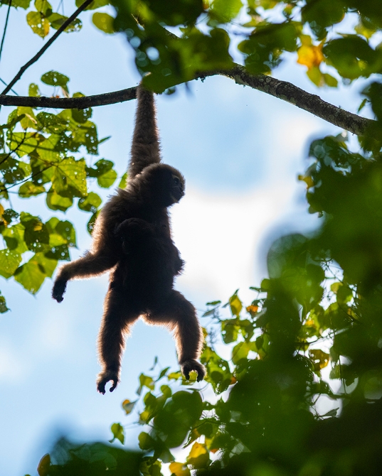 2021010516103543B18Ln 2021010516103543B18Ln