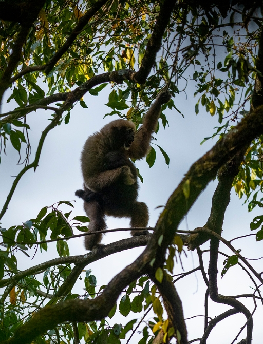 202101051610358AMNDLn 202101051610358AMNDLn