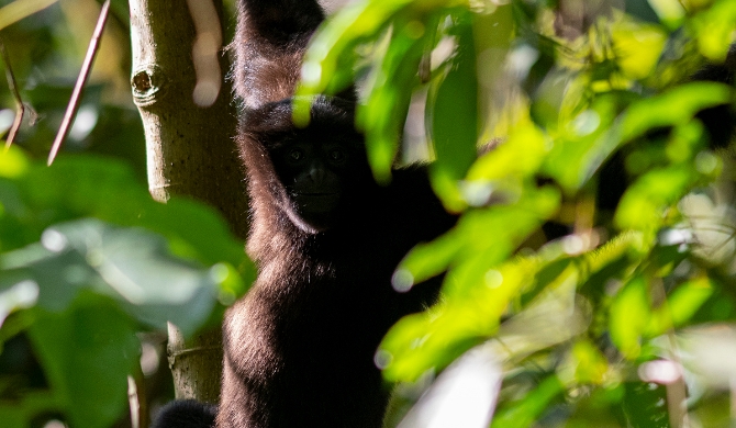 20210105161036SP0MXEn 20210105161036SP0MXEn