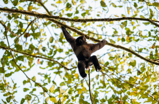 2021010516103616717Qn 2021010516103616717Qn