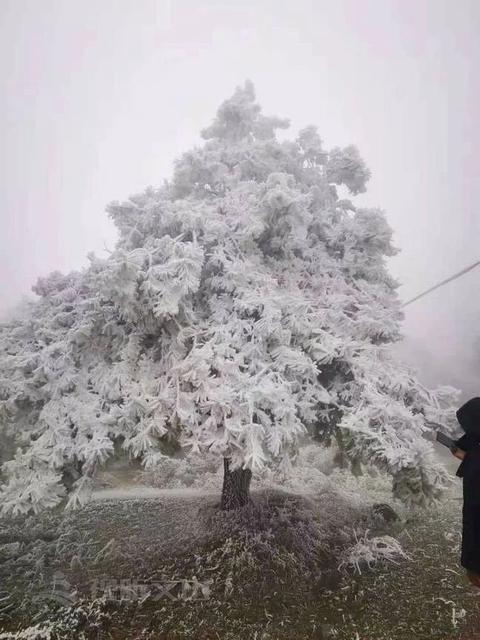 美了美了！2021年的第一场雪，惊艳了文山7.jpg