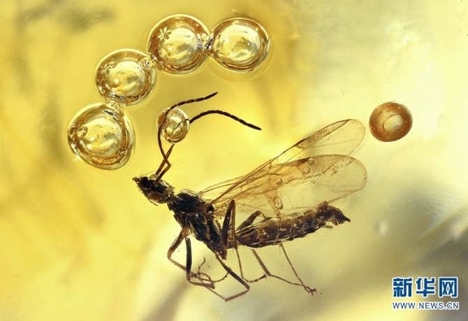 139656110_16102884305981n 139656110_16102884305981n