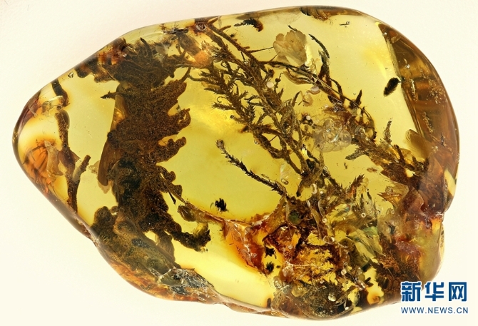 139656110_16102884308311n 139656110_16102884308311n