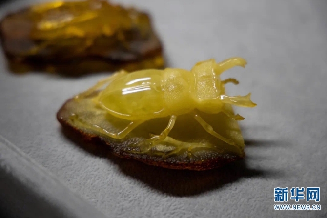 139656110_16102884325131n 139656110_16102884325131n