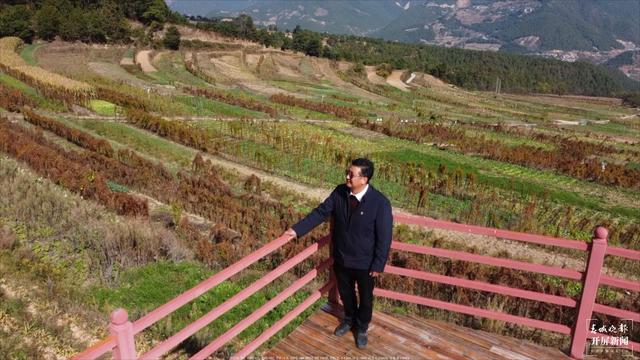 【2020迪庆故事】蔬菜大棚“种”出幸福生活 和继泉(春城晚报-开屏新闻记者 木晓雯 周柯妤 王宇衡 摄影报道)9.jpg