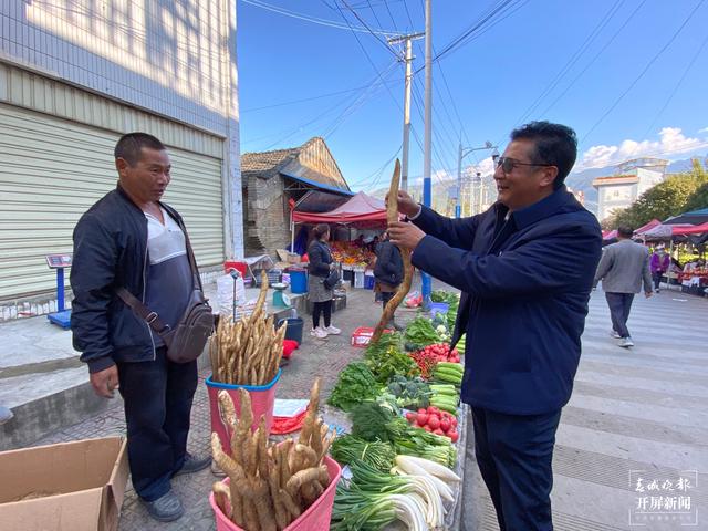 【2020迪庆故事】蔬菜大棚“种”出幸福生活 和继泉(春城晚报-开屏新闻记者 木晓雯 周柯妤 王宇衡 摄影报道)6.jpg