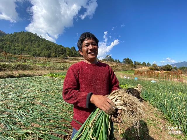 【2020迪庆故事】蔬菜大棚“种”出幸福生活 和继泉(春城晚报-开屏新闻记者 木晓雯 周柯妤 王宇衡 摄影报道)3.jpg