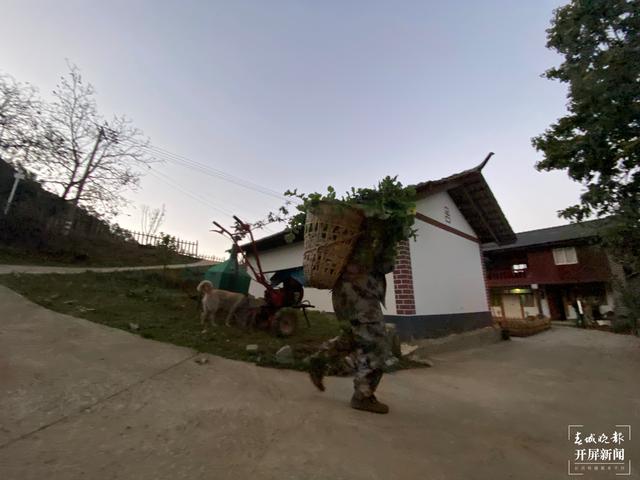 【2020迪庆故事】蔬菜大棚“种”出幸福生活 和继泉(春城晚报-开屏新闻记者 木晓雯 周柯妤 王宇衡 摄影报道)5.jpg