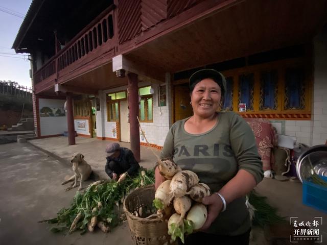 【2020迪庆故事】蔬菜大棚“种”出幸福生活 和继泉(春城晚报-开屏新闻记者 木晓雯 周柯妤 王宇衡 摄影报道)2.jpg