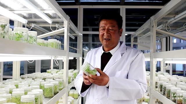 【2020迪庆故事】蔬菜大棚“种”出幸福生活 和继泉(春城晚报-开屏新闻记者 木晓雯 周柯妤 王宇衡 摄影报道)8.jpg