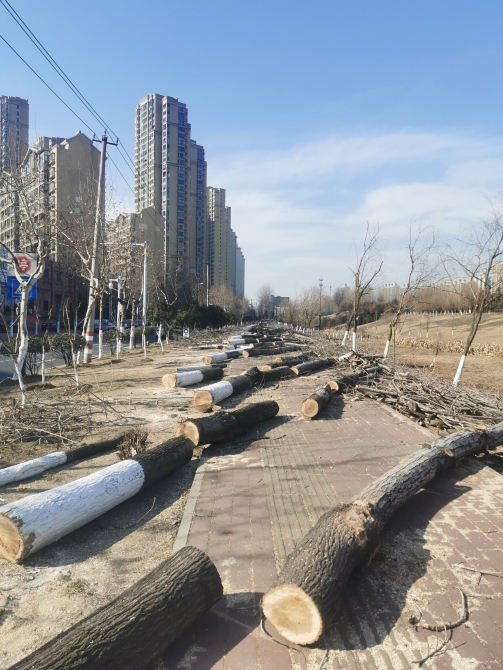 a399827e0bc4aec8eb9cdf610b8d96f1