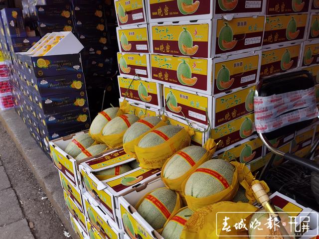 金马正昌水果批发市场 哈密瓜.jpg