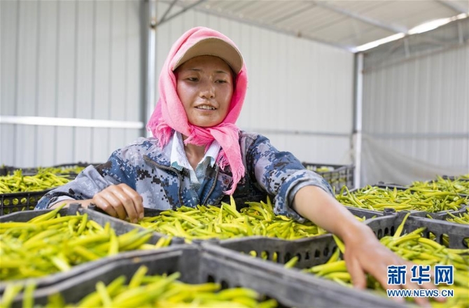 (新华全媒头条·百万大移民·图文互动)(9)从大山深处到大河之畔——宁夏持续移民百万“拔穷根”启示