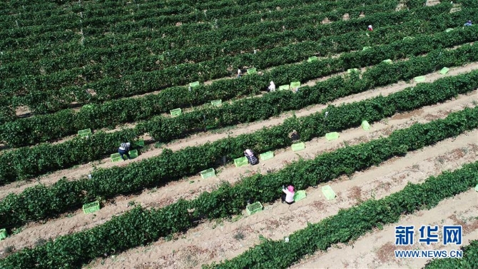 (新华全媒头条·百万大移民·图文互动)(8)从大山深处到大河之畔——宁夏持续移民百万“拔穷根”启示