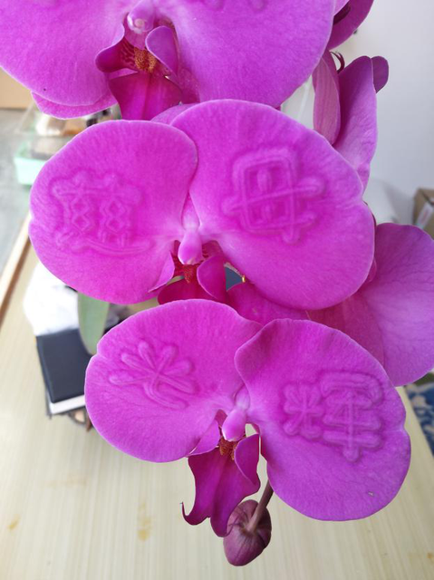 昆明这名老人说，希望把他的“浮雕花”带给千家万户