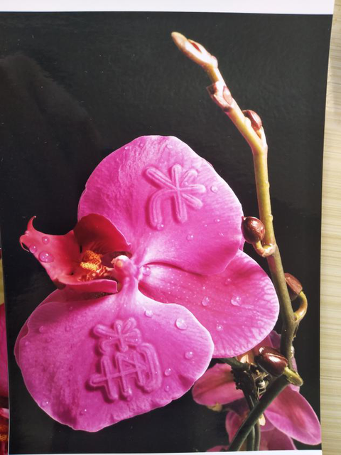 昆明这名老人说，希望把他的“浮雕花”带给千家万户