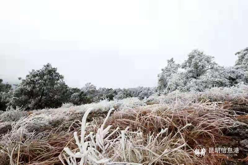 微信图片_20210201103408