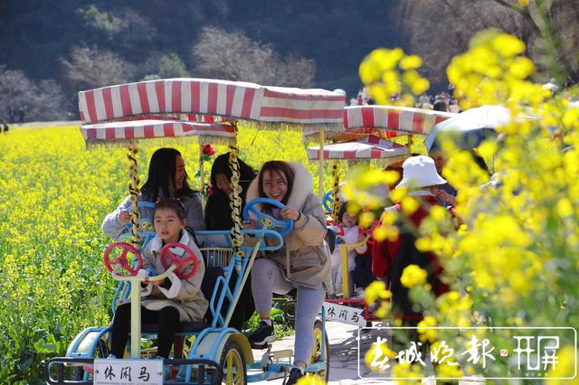 安宁牧羊湖万亩油菜花盛放 (2).jpg