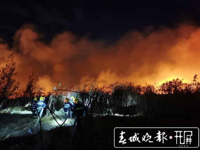 突发，昆明呈贡蓝光花田旁空地起火