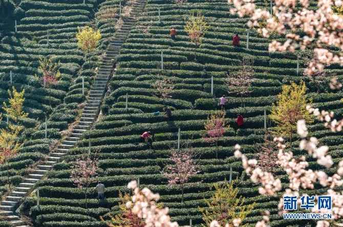 1127125292_16139835784261n