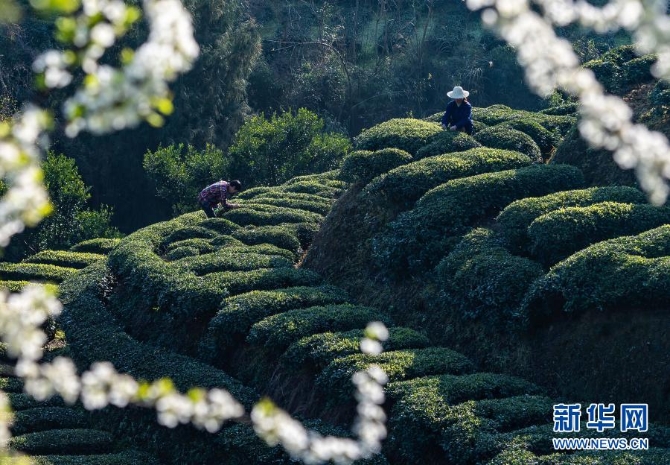 1127125292_16139835785111n