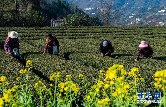 1127125292_16139835786271n