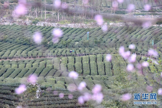 1127125292_16139835786901n