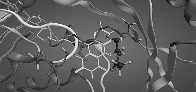 药物数字试验场为新药研究“另辟蹊径”