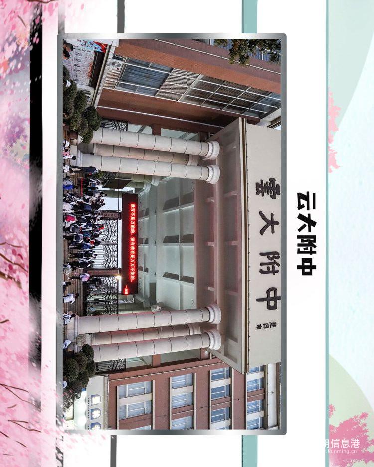 53云大附中