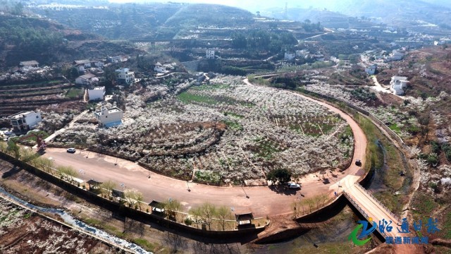 00303368308_7d2ff570 00303368308_7d2ff570