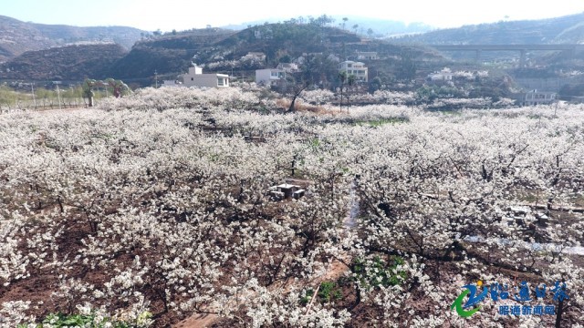 00303368309_12e4da2a 00303368309_12e4da2a