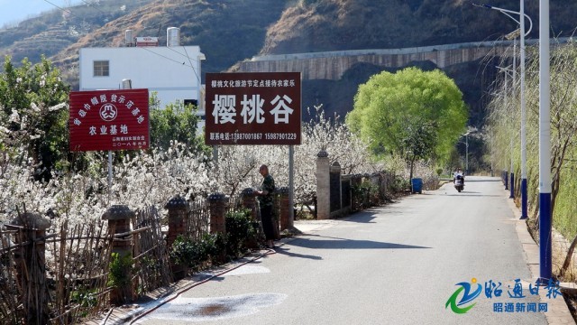 00303368310_fe2d0eb8 00303368310_fe2d0eb8