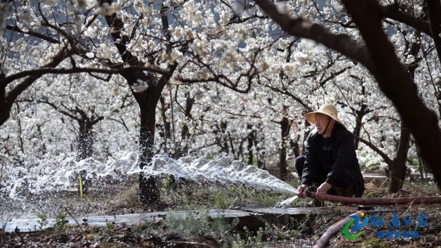 00303368311_3c3a239f 00303368311_3c3a239f