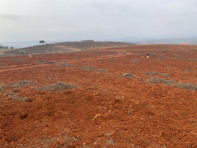 00303384474_93a99aaf