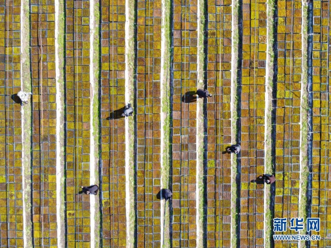 1127173306_16149931989921n 1127173306_16149931989921n