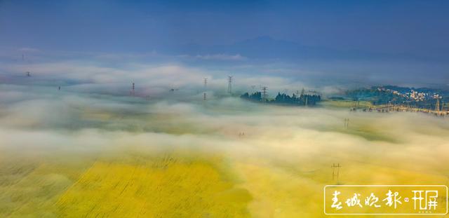 百万亩油菜花开出千万种姿态!此刻,最美的罗平等你来