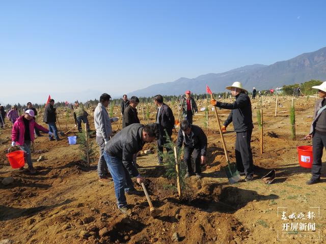 云南厚植生态底色，40年来累计义务植树43.26亿株