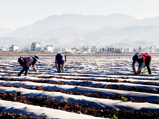 dfd2b186aa0f41588fcb37d4b8f04249 dfd2b186aa0f41588fcb37d4b8f04249