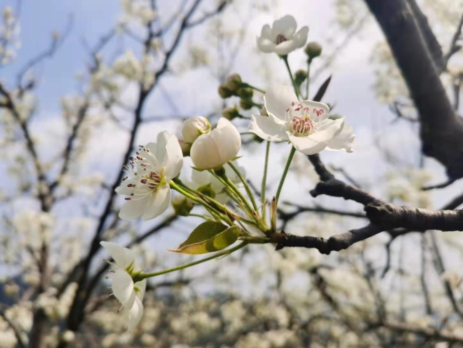 654934de7cf5dc016c5b98292ba36d64 654934de7cf5dc016c5b98292ba36d64