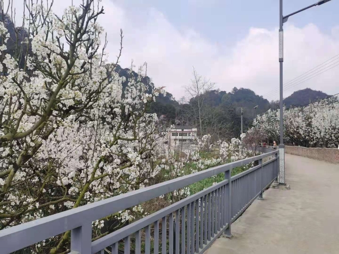 1172bc0a77c03cc0f756e304f8c87df4 1172bc0a77c03cc0f756e304f8c87df4