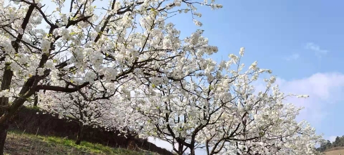 b08e6c92c71a5f2b039de0258a47c484 b08e6c92c71a5f2b039de0258a47c484