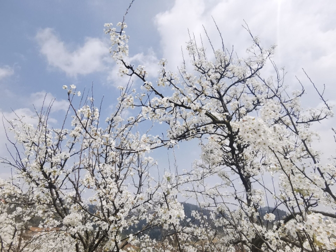 d972d15738da601d5edfea10b38fe4d4 d972d15738da601d5edfea10b38fe4d4