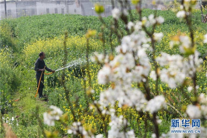 139812089_16158042528231n 139812089_16158042528231n