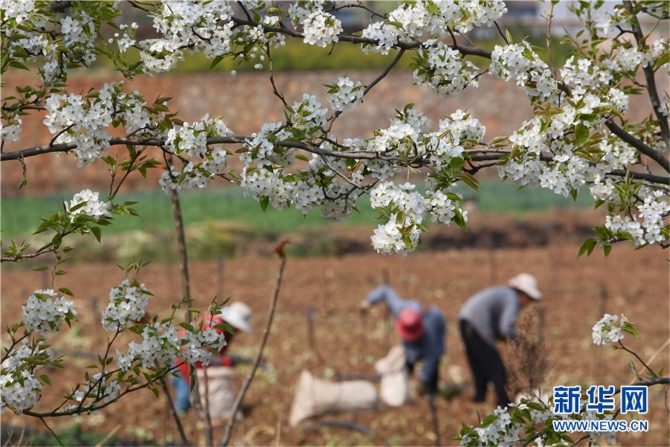 139812089_16158042530341n 139812089_16158042530341n