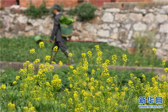 139812089_16158042539001n 139812089_16158042539001n