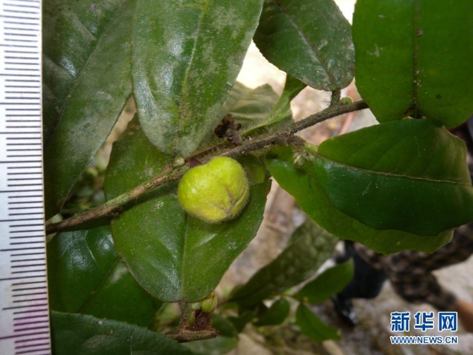 1127218683_16158925145401n 1127218683_16158925145401n