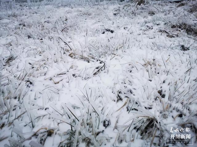 昭通多地今日下雪，叫冷声一片，请注意防寒抗旱！