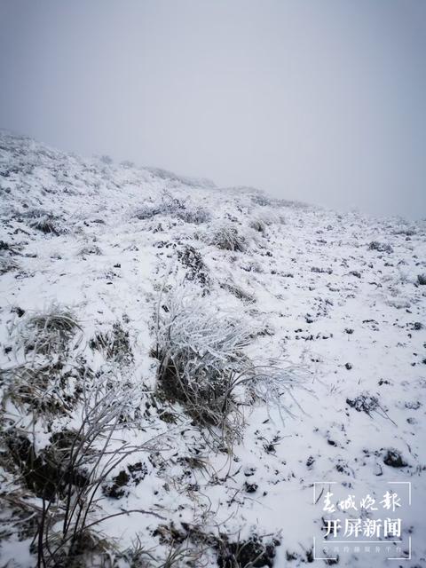 昭通多地今日下雪，叫冷声一片，请注意防寒抗旱！